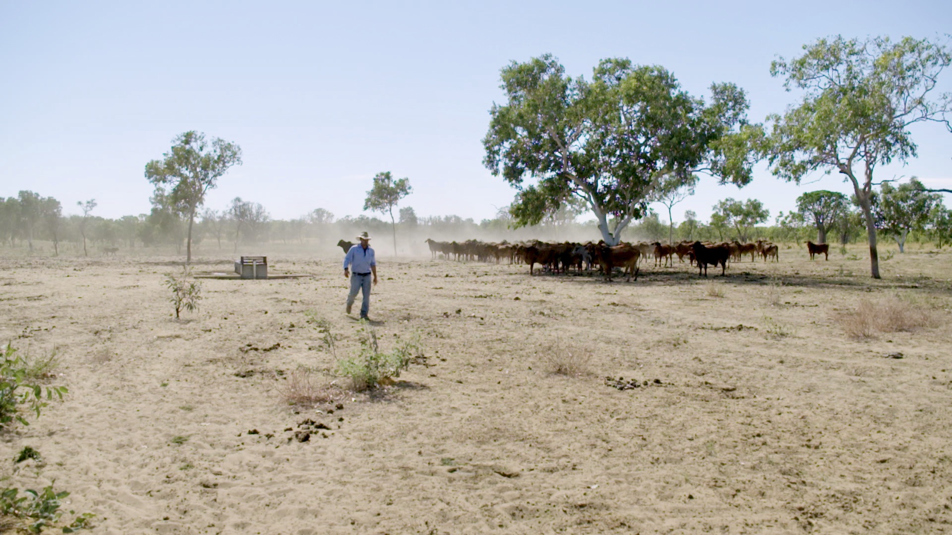 Life on a station in the Kimberley