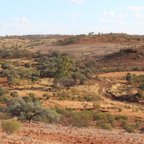 NT landscape