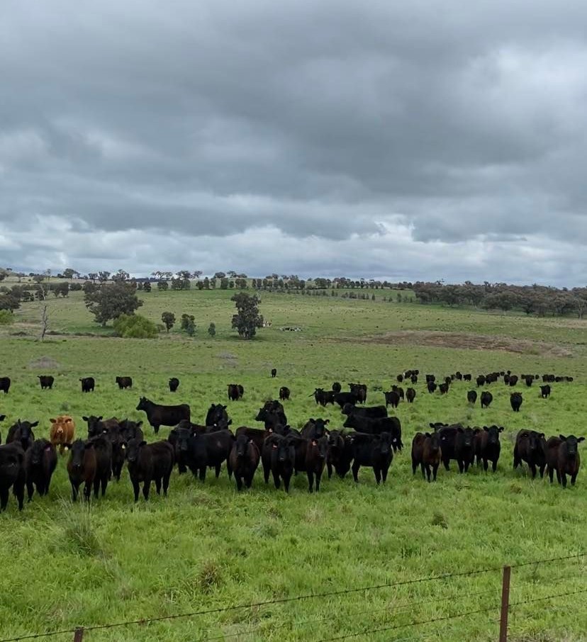 La Nina has been declared, but water monitoring should still be a priority for farmers