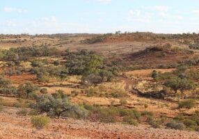 NT landscape